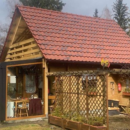 Holzhaus Mit Direktem Wasserzugang In Berlin-Koepenick Kültér fotó