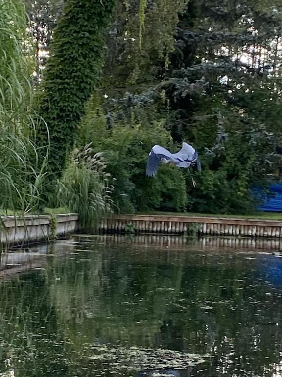 Holzhaus Mit Direktem Wasserzugang In Berlin-Koepenick Kültér fotó
